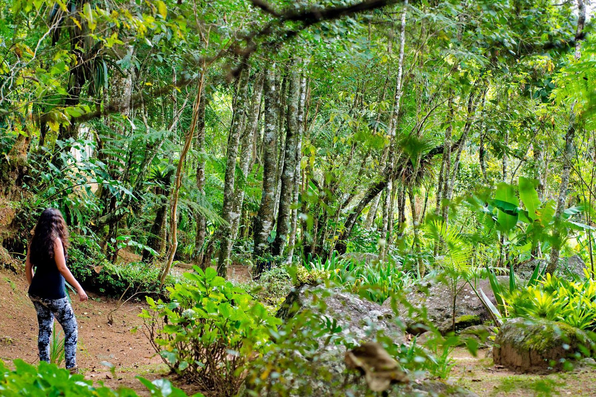 Pousada No Da Madeira Visconde De Maua Exterior photo