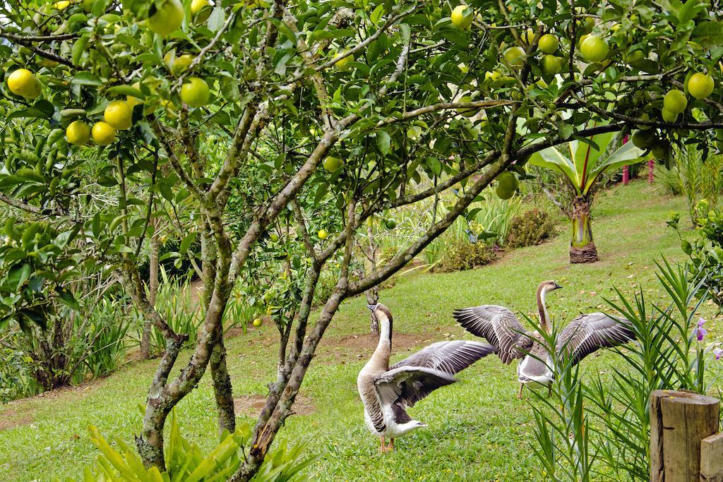 Pousada No Da Madeira Visconde De Maua Exterior photo