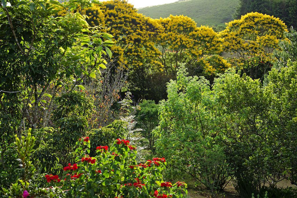 Pousada No Da Madeira Visconde De Maua Exterior photo