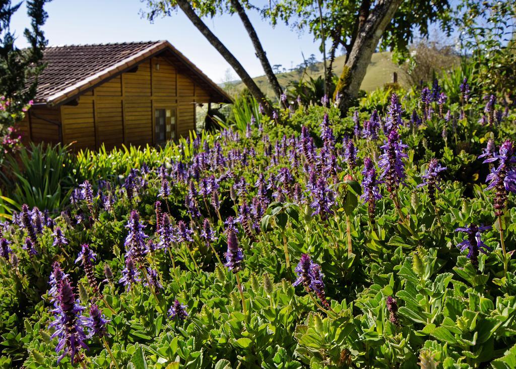 Pousada No Da Madeira Visconde De Maua Exterior photo